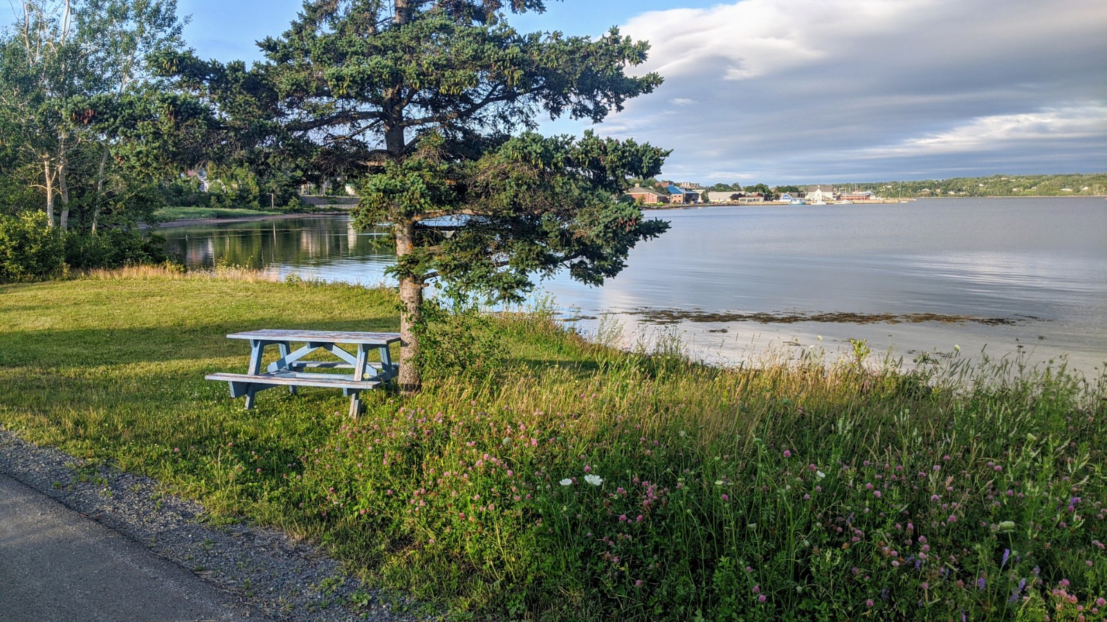 jitney pictou waterfront.jpg